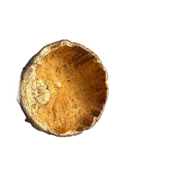 mushroom root sculpture 7” - Picture 4 of 4